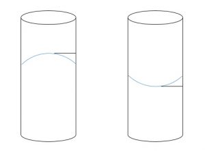 Meniscus