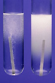 Magnesium reacts at different rates in Acid A (left) and Acid B (right).