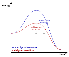 factors that affect the reaction rate