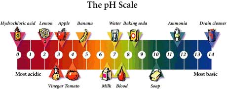 The pH Scale